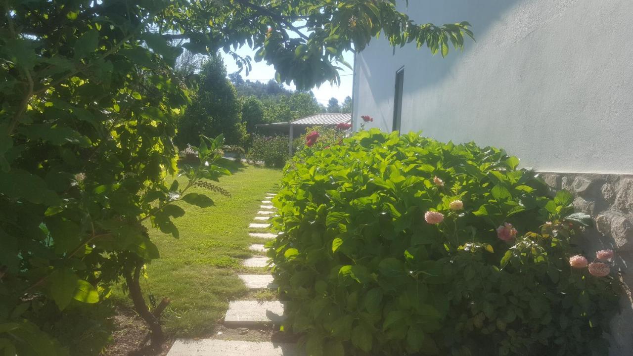 Quinta Do Serrado De Belmonte Belmonte  Exterior foto