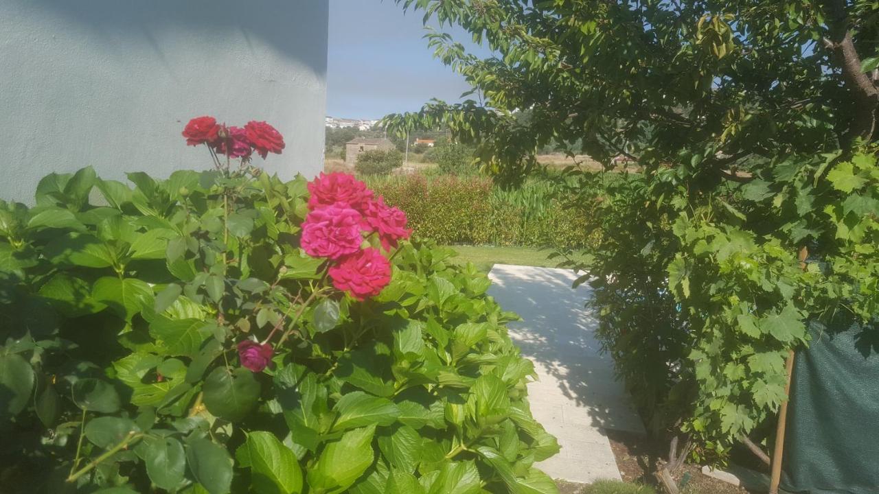 Quinta Do Serrado De Belmonte Belmonte  Exterior foto