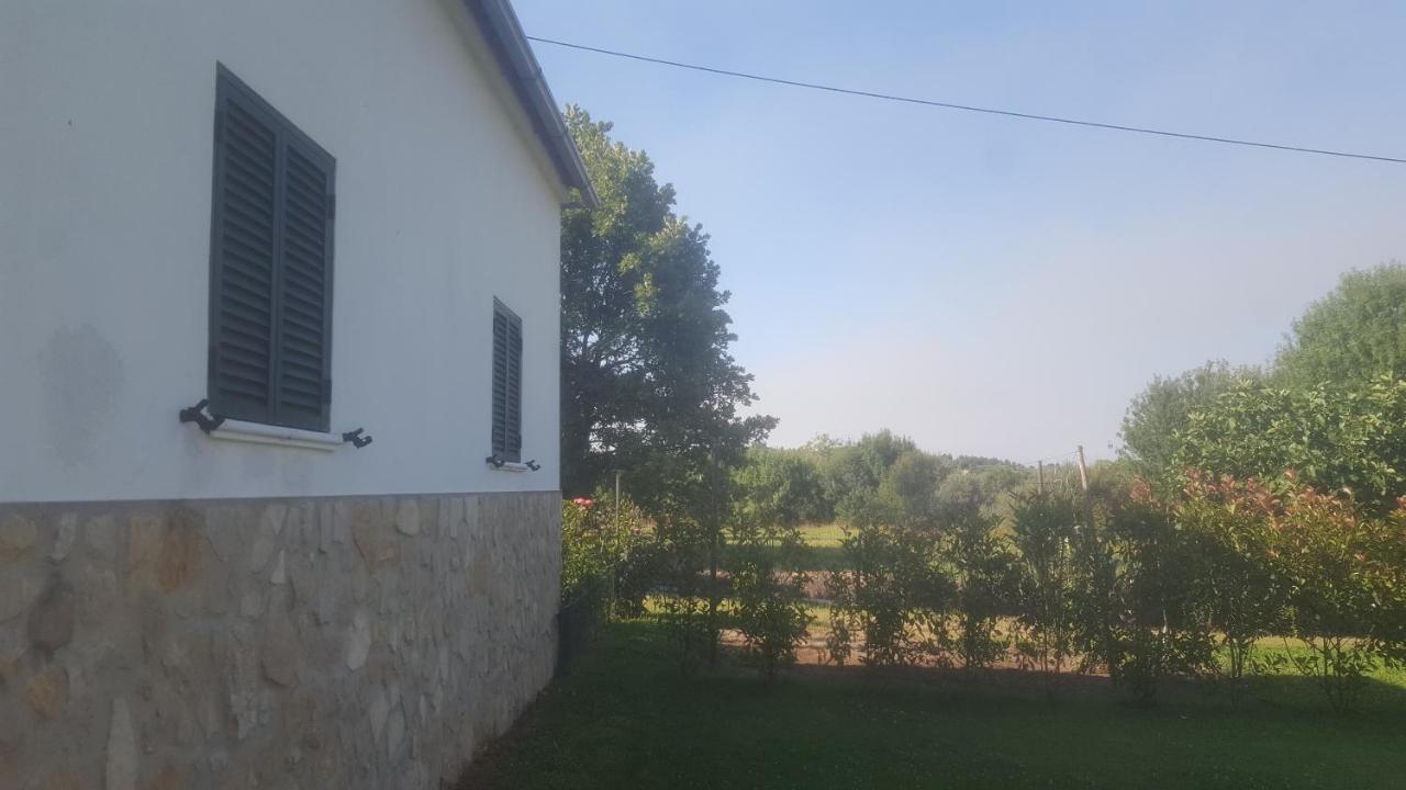 Quinta Do Serrado De Belmonte Belmonte  Exterior foto
